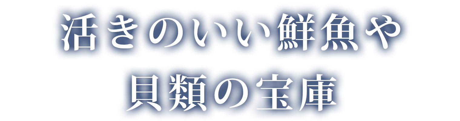 活きのいい鮮魚や貝類の宝庫